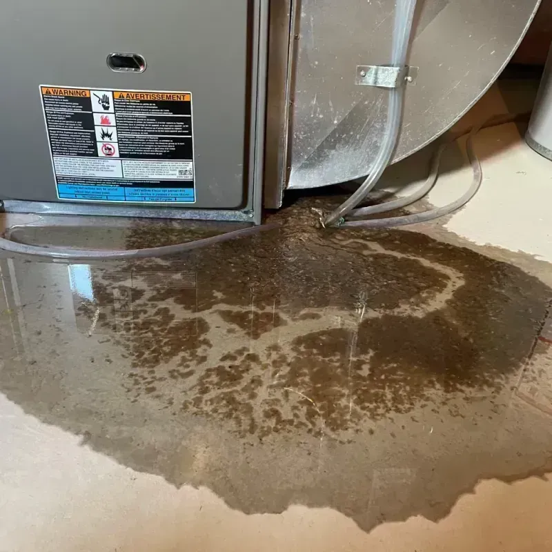 Appliance Leak Cleanup in Madison County, KY